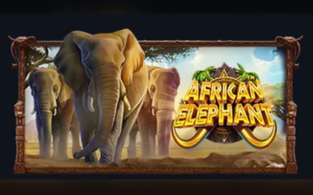 African Elephant slot by Pragmatic Play