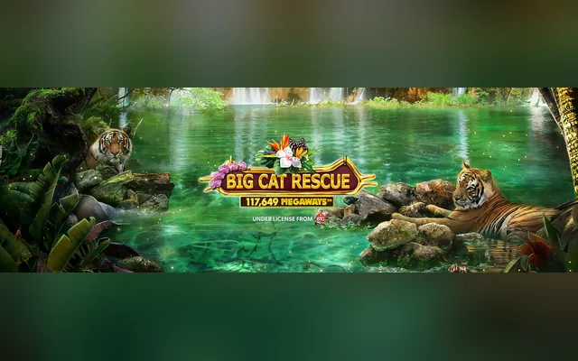 Big Cat Rescue Megaways slot by Red Tiger