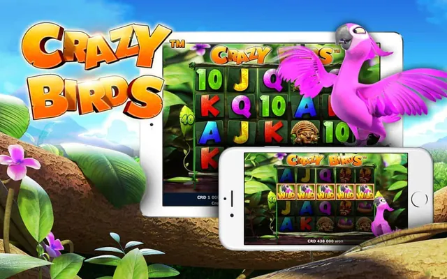 Crazy Birds slot by Novomatic (Greentube)