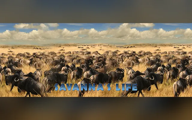Savanna's Life slot by Amusnet (EGT)