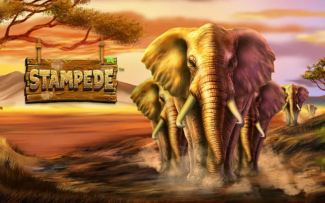 Stampede slot by Betsoft