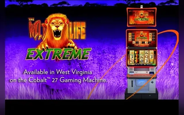 The Wild Life Extreme slot by IGT